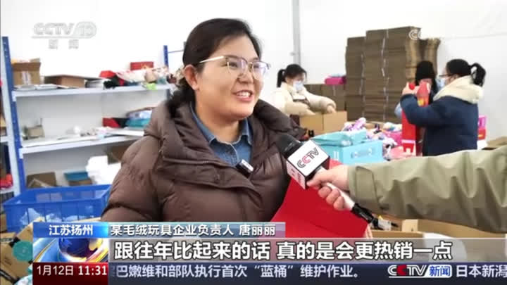 江苏扬州 毛绒玩具订单火爆6.jpg