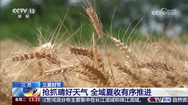 [新闻直播间]三夏时节_江苏_抢抓晴好天[00_00_58][20260602-151854].png